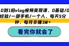 赚钱项目从0到1拍vlog视频变现课，0基础/0经验/一部手机/一个人，每天5分钟，每月多赚1W+便宜07月10日冒泡网VIP项目