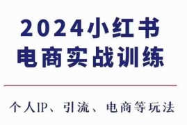 热门项目2024小红书电商3.0实战训练，包含个人IP、引流、电商等玩法11-28冒泡网