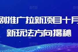 2024最新短剧推广拉新项目十月最新玩法方向揭秘09-30冒泡网