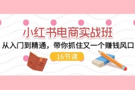 最新项目（11533期）小红书电商实战班，从入门到精通，带你抓住又一个赚钱风口（16节）便宜07月10日中创网VIP项目