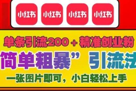 实战12月底小红书”简单粗暴“引流法，单条引流200+精准创业粉12-12冒泡网