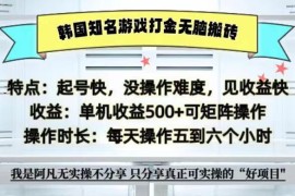 创业项目全网首发海外知名游戏打金无脑搬砖单机收益500+即做！即赚！当天见收益！福缘网