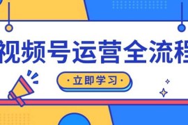 最新项目（13401期）视频号运营全流程：起号方法、直播流程、私域建设及自然流与付费流运营11-21中创网