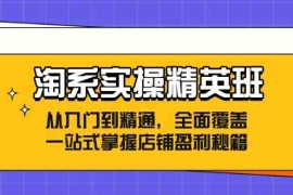 赚钱项目淘系实操精英班：从入门到精通，全面覆盖，一站式掌握店铺盈利秘籍08-24福缘网