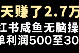 实战冷门暴利，超级简单的项目0成本玩法，每单在500至4000的利润11-26福缘网