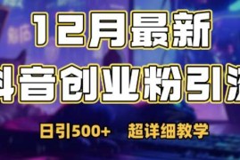 每天最新公开：12月份抖音日引500+创业粉秘籍12-04冒泡网