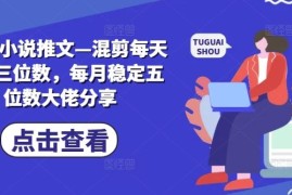 热门项目2024小说推文—混剪每天稳定三位数，每月稳定五位数大佬分享便宜08月10日冒泡网VIP项目