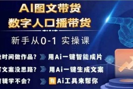 2024最新Ai图文带货+数字人口播带货，从0~1实操体系课便宜08月02日冒泡网VIP项目