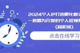 每天2024个人IP打造孵化模式流程课，一套最为完整的个人短视频落地课程(高阶班)12-09冒泡网