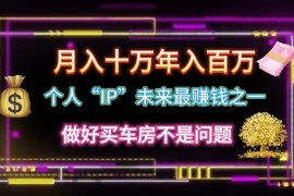 个人“ip”月入10w，年入100w，06月24日福缘网VIP项目