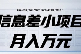 简单项目信息差小项目：国内外视频代下载，项目操作简单零成本零门槛月入过万12-17福缘网