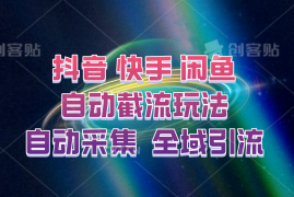 每日快手、抖音、闲鱼自动截流玩法，利用一个软件自动采集、评论、点赞、私信，全域引流09-14福缘网