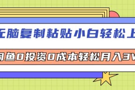 每日（12431期）无脑复制粘贴，小白轻松上手，电商0投资0成本轻松月入3W+09-02中创网