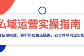 实战（13414期）私域运营实操指南：从0-1私域搭建，解析粉丝触点链路，安全养号引流变现11-22中创网