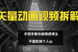 热门项目矢量动画视频全拆解手把手教你做情感博主不露脸做个人ip【揭秘】便宜08月07日冒泡网VIP项目