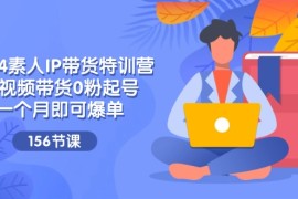 赚钱项目（11670期）2024素人IP带货特训营，短视频带货0粉起号，一个月即可爆单（156节）便宜07月18日中创网VIP项目