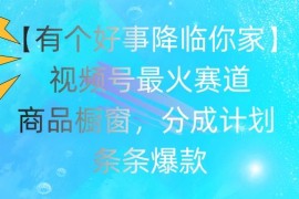 2024最新【有个好事降临你家】视频号爆火赛道，商品橱窗，分成计划，条条爆款【揭秘】便宜07月13日冒泡网VIP项目