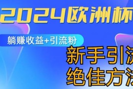 2024欧洲杯风口的玩法及实现收益躺赚+引流粉丝的方法，新手小白绝佳项目【揭秘】，06月23日冒泡网VIP项目