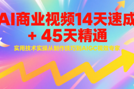 AI商业视频14天速成+45天精通实用技术实操，从制作技巧到AIGC视效专家