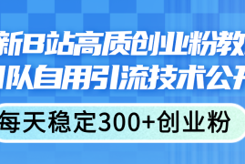 简单项目（11661期）最新B站高质创业粉教程，团队自用引流技术公开，每天稳定300+创业粉便宜07月17日中创网VIP项目