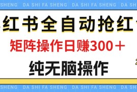 热门项目（12151期）最新小红书全自动抢红包，单号一天50＋矩阵操作日入300＋，纯无脑操作08-15中创网