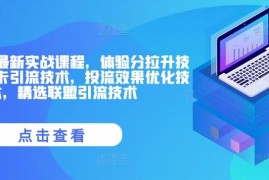 每日抖音小店最新实战课程，体验分拉升技术，商品卡引流技术，投流效果优化技术，精选联盟引流技术便宜08月19日冒泡网VIP项目