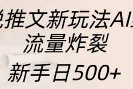 最新项目小说推文新玩法AI绘画，流量炸裂，新手日500+【揭秘】11-17冒泡网