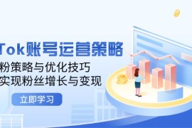 简单项目（12614期）TikTok账号运营策略：涨粉策略与优化技巧，快速实现粉丝增长与变现09-16中创网