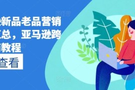 每日亚马逊新品老品营销打法汇总，亚马逊跨境电商教程便宜07月05日冒泡网VIP项目