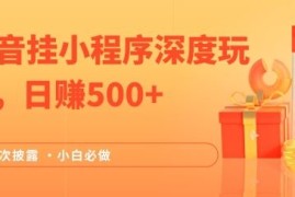 实战2024全网首次披露，抖音挂小程序深度玩法，日赚500+，简单、稳定，带渠道收入，小白必做【揭秘】便宜08月10日冒泡网VIP项目