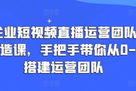 每天企业短视频直播运营团队打造课，手把手带你从0-1搭建运营团队，07月01日冒泡网VIP项目