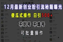 最新项目12月最新创业粉引流秘籍曝光傻瓜式操作日引500+不封号不废号可批量操作【揭秘】12-08冒泡网