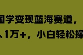 每日国学变现蓝海赛道，月入1W+，小白轻松操作【揭秘】09-09冒泡网