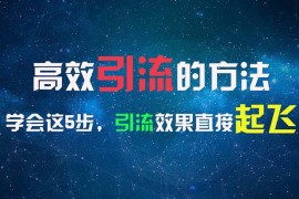 热门项目（11776期）高效引流的方法，可以帮助你日引300+创业粉，一年轻松收入30万，比打工强便宜07月24日中创网VIP项目