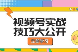 2024最新（12365期）视频号实战技巧大公开：选题拍摄、运营推广、直播带货一站式学习(无水印)08-29中创网