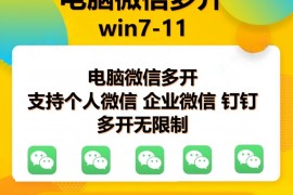 创业项目（13594期）pc微信多开软件，支持普通微信多开，企业微信多开，钉钉多开12-07中创网