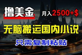 每日最新撸美金项目，搬运国内小说爽文，只需复制粘贴，稿费月入2500+美金，新手也能快速上手【揭秘】便宜07月25日冒泡网VIP项目