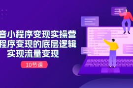 （11256期）抖音小程序变现实操营，小程序变现的底层逻辑，实现流量变现（10节课），06月25日中创网VIP项目