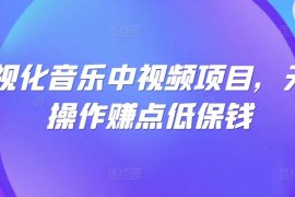 每天可视化音乐中视频项目，无脑操作赚点低保钱09-23冒泡网