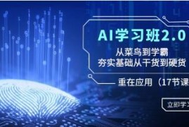 AI学习班2.0，从菜鸟到学霸，夯实基础从干货到硬货，重在应用携手抖音号运营