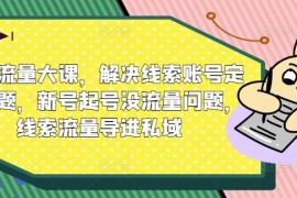 最新项目线索流量大课，解决线索账号定位问题，新号起号没流量问题，线索流量导进私域08-30冒泡网