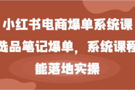 实战小红书电商爆单系统课-选品笔记爆单，系统课程，能落地实操09-05福缘网