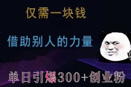 实战仅需一块钱，借助别人的力量，单日引爆300+创业粉、兼职粉【揭秘】12-16冒泡网