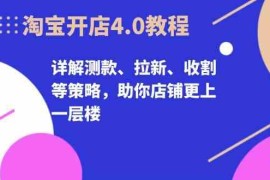 实战淘宝开店4.0教程，详解测款、拉新、收割等策略，助你店铺更上一层楼福缘网