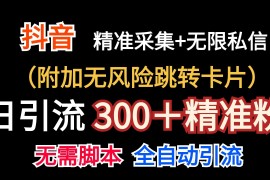 抖音无限暴力私信机（附加无风险跳转卡片）日引300＋精准粉，06月23日福缘网VIP项目