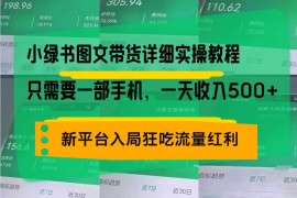 热门项目（13509期）小绿书图文带货详细实操教程，只需要一部手机，一天收入500+，轻松变现11-29中创网