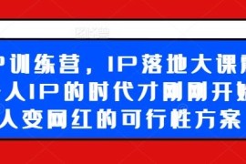 每日超级IP训练营，IP落地大课震撼来袭，个人IP的时代才刚刚开始，素人变网红的可行性方案便宜07月29日冒泡网VIP项目