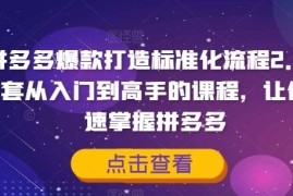 创业项目拼多多爆款打造标准化流程2.0，一套从入门到高手的课程，让你快速掌握拼多多08-18冒泡网