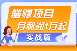 创业项目（11322期）躺赚副业项目，月利润1万起，当天见收益，实战篇，06月29日中创网VIP项目