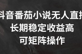 每日抖音番茄小说无人直播，长期稳定收益高，可矩阵操作【揭秘】便宜08月06日冒泡网VIP项目